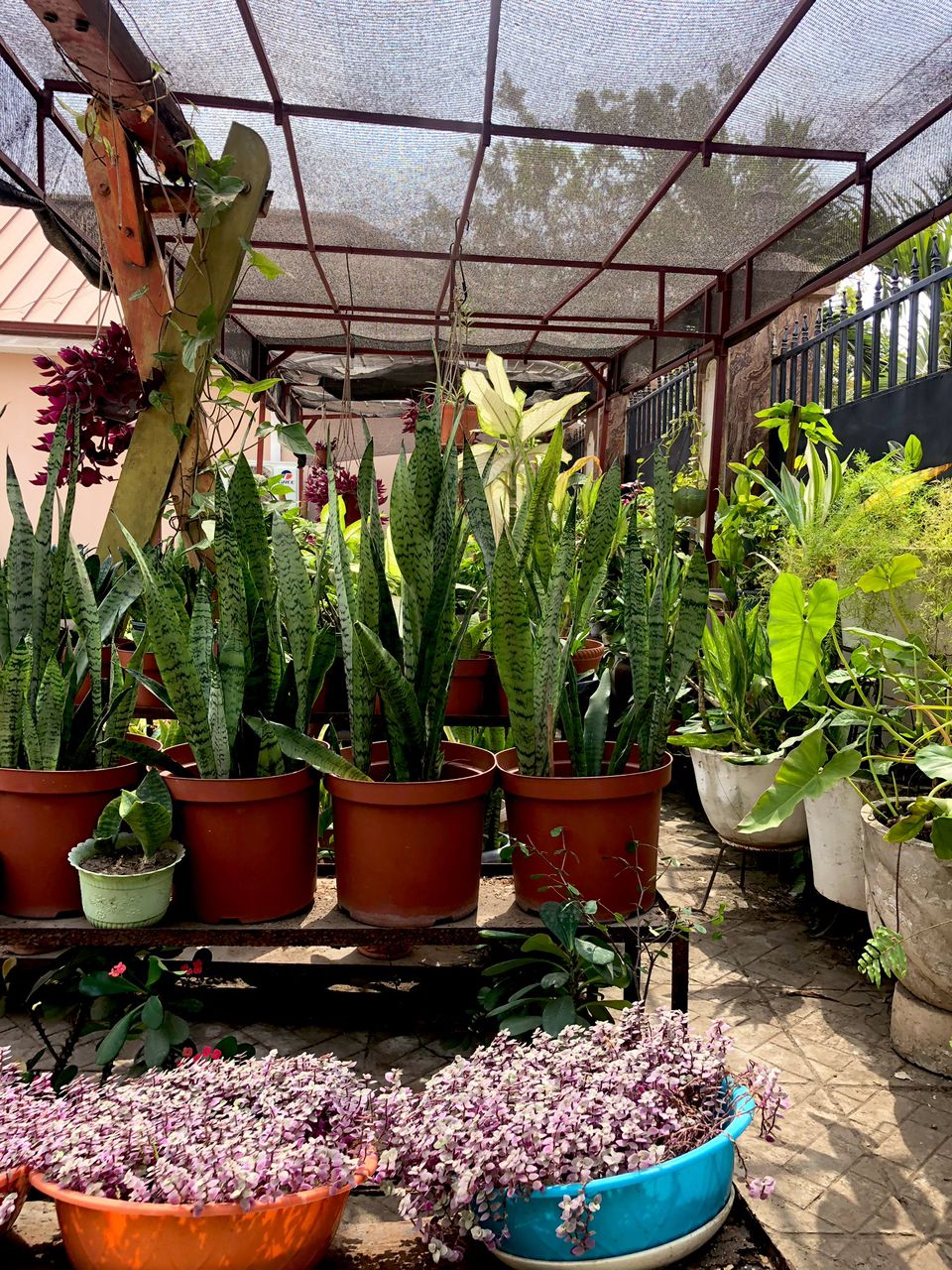 Transform Your Space With Nature
